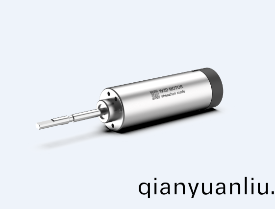 掃(sao)振電(dian)動(dong)牙(ya)刷(shua)無(wu)刷(shua)伺服電(dian)機解決方(fang)案